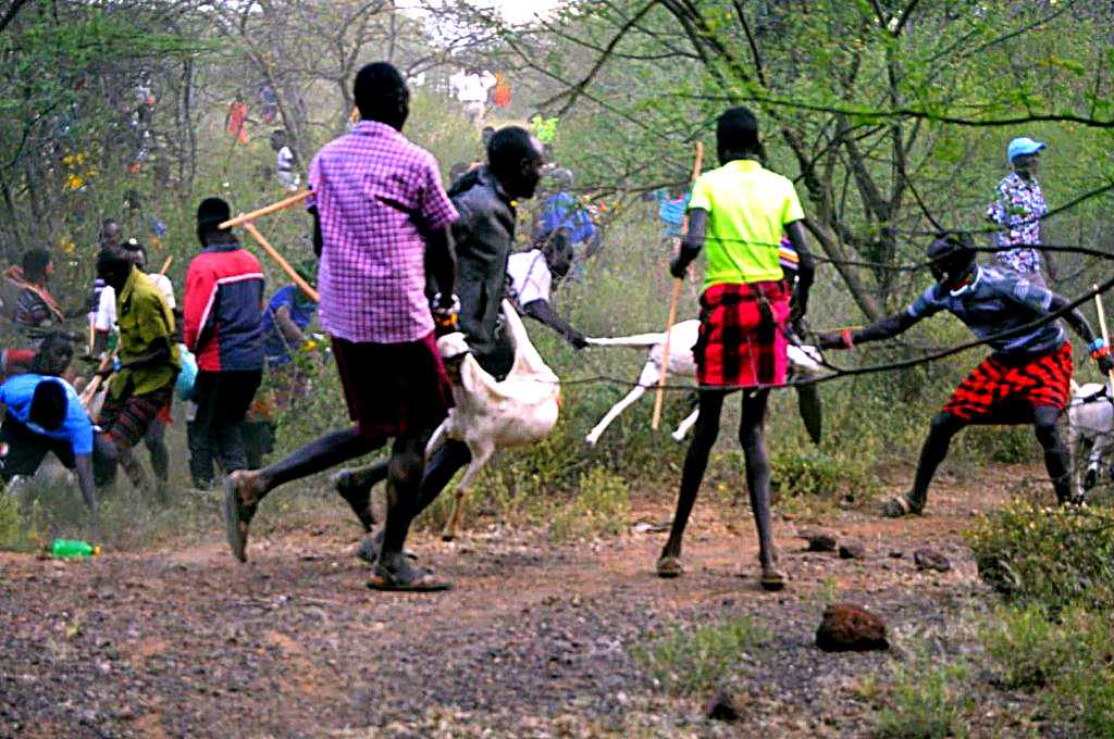 Resolving armed cattle rustling and resource conflicts in Kenya